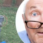 Det märkliga fyndet nära trädet gjorde grannen förbryllad: vilken hemlighet